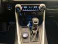 Toyota RAV 4 Premium Plus & AWD Grey - thumbnail 12