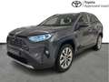 Toyota RAV 4 Premium Plus & AWD siva - thumbnail 1