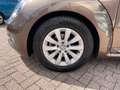Volkswagen Beetle Cabrio AUTOMAAT Bruin - thumbnail 9