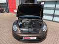 Volkswagen Beetle Cabrio AUTOMAAT Bruin - thumbnail 8