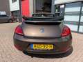 Volkswagen Beetle Cabrio AUTOMAAT Bruin - thumbnail 5