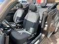 Volkswagen Beetle Cabrio AUTOMAAT Bruin - thumbnail 11