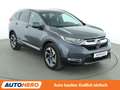 Honda CR-V 1.5 Turbo Executive 4WD Aut.*NAVI*HEADUP*LED* Grau - thumbnail 8