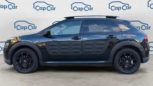Citroen C4 Cactus view 2