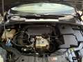 Ford Focus Champions Edition - thumbnail 13