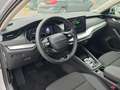 Skoda Octavia Selection TSI Silber - thumbnail 8