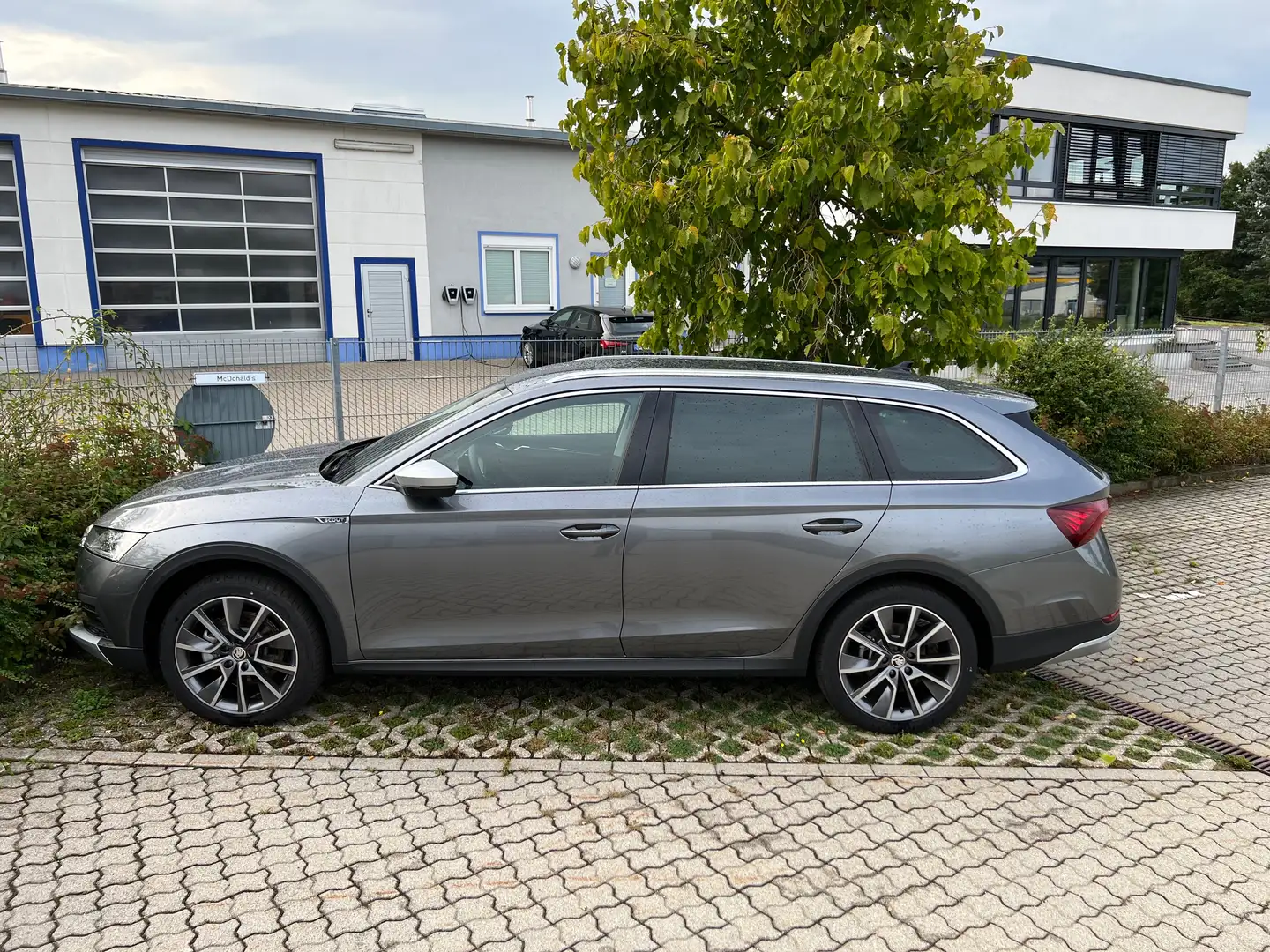 Skoda Octavia Octavia Combi 2.0 TDI DSG 4x4 Scout Grau - 1