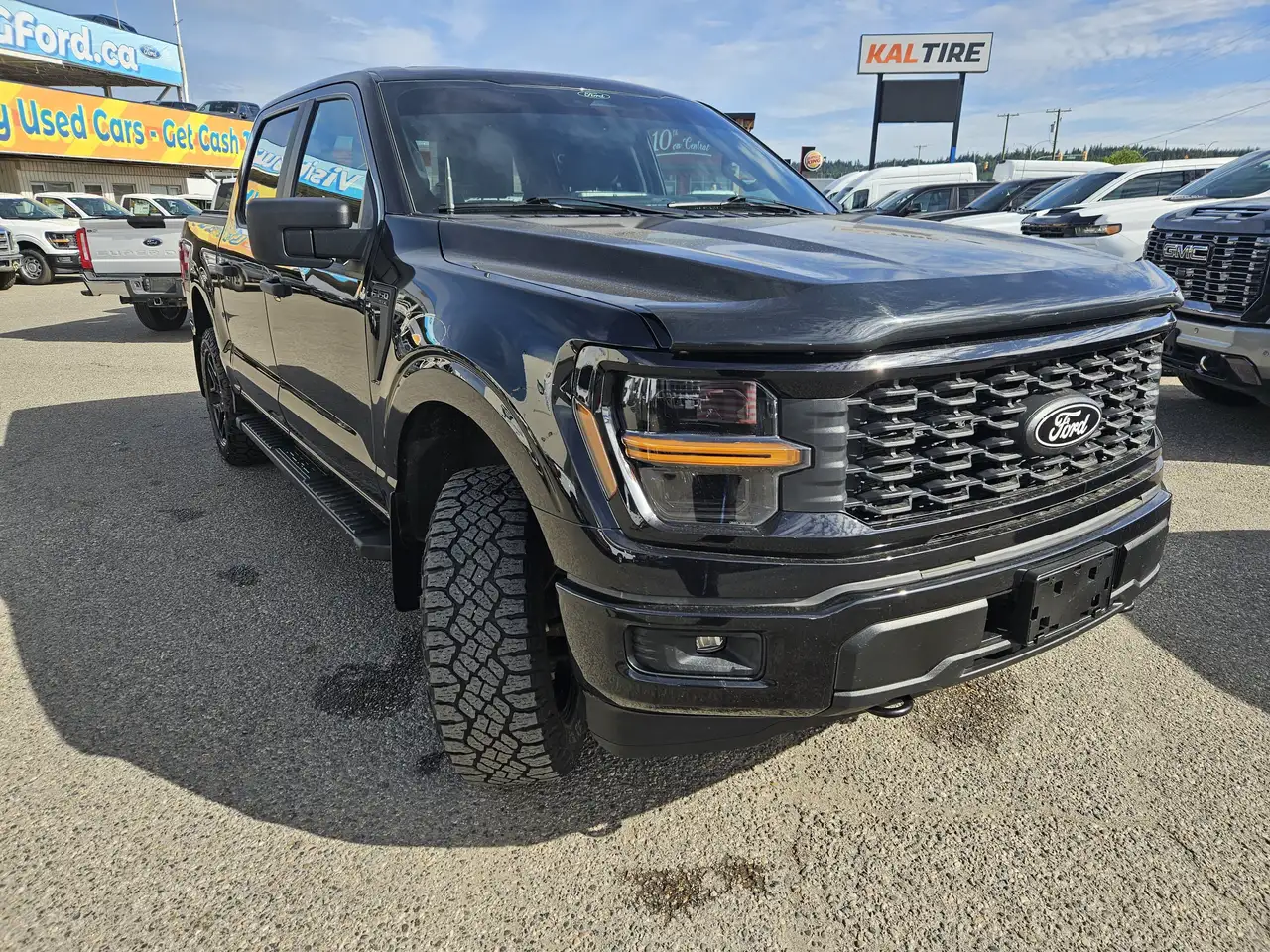 Ford F 150 fotografie Ford F 150