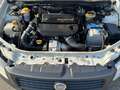 Fiat Strada 1.3 MJT Pick-up Weiß - thumbnail 14