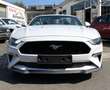 Ford Mustang 5.0 GT V8 Cabrio 1.Hand Blanc - thumbnail 2