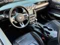 Ford Mustang 5.0 GT V8 Cabrio 1.Hand Blanc - thumbnail 13