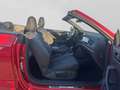 Volkswagen T-Roc Cabrio 1.5 TSI DSG R-LINE BLACK LM19 LEDER Rot - thumbnail 4