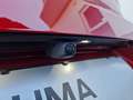 Ford Puma ST-LINE Automatik Ganzjahresreifen/Kamera Rood - thumbnail 15