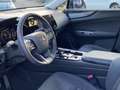 Lexus NX 350h LUXURY LINE/FABRIEKSGARANTIE/NIEUWSTAAT Gris - thumbnail 8