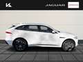 Jaguar F-Pace 30d R-Sport AWD Pano, Allrad, Navi, Soundsystem, L Weiß - thumbnail 6