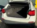 Audi Q2 1.4 TFSI CoD Design Pro Line Plus * Cruise * Navi Wit - thumbnail 26