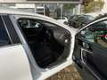 Kia Ceed SW / cee'd SW Ceed SW 1.6 PHEV Inspiration *ACC*Top*0,5%Versteu Alb - thumbnail 12