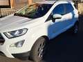 Ford EcoSport EcoSport 2018 1.5 ecoblue Business awd s Bianco - thumbnail 2