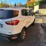 Ford EcoSport EcoSport 2018 1.5 ecoblue Business awd s Bianco - thumbnail 5