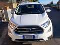 Ford EcoSport EcoSport 2018 1.5 ecoblue Business awd s Bianco - thumbnail 1