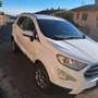 Ford EcoSport EcoSport 2018 1.5 ecoblue Business awd s Bianco - thumbnail 4