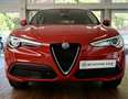 Alfa Romeo Stelvio MY20 2.0 T AWD Super Business Edition Rouge - thumbnail 10