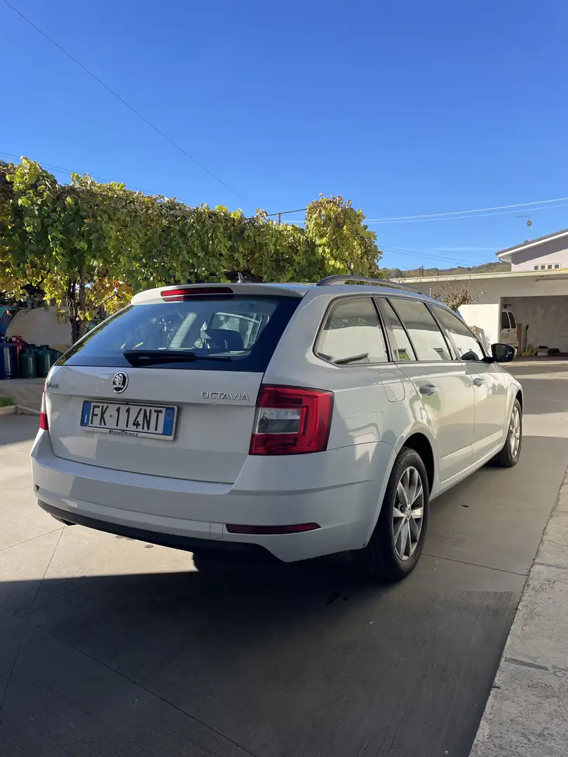 Skoda Octavia Wagon 1.6 tdi Executive 115cv dsg - 2