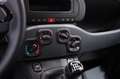 Fiat New Panda My25 1.0 FireFly S&S Hybrid Rosso - thumbnail 15