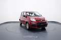 Fiat New Panda My25 1.0 FireFly S&S Hybrid Rosso - thumbnail 8
