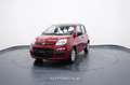 Fiat New Panda My25 1.0 FireFly S&S Hybrid Rosso - thumbnail 1