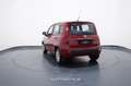 Fiat New Panda My25 1.0 FireFly S&S Hybrid Rosso - thumbnail 4