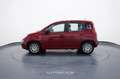 Fiat New Panda My25 1.0 FireFly S&S Hybrid Rosso - thumbnail 3
