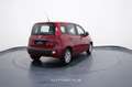 Fiat New Panda My25 1.0 FireFly S&S Hybrid Rosso - thumbnail 6