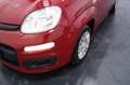 Fiat New Panda My25 1.0 FireFly S&S Hybrid Rot - thumbnail 25