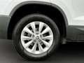 Skoda Karoq City TSI Weiß - thumbnail 6