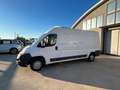 Fiat Ducato 2,2 MJT 120CV TETTO ALTO-PASSO LUNGO Blanco - thumbnail 4
