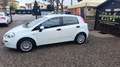 Fiat Punto 5p 1.2 Lounge E6 - thumbnail 5