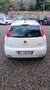 Fiat Punto 5p 1.2 Lounge E6 - thumbnail 12