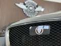 Jaguar F-Pace 30d AWD Portfolio Aut. *Dr. Mag. Vorbesitz* *SE... Grau - thumbnail 6