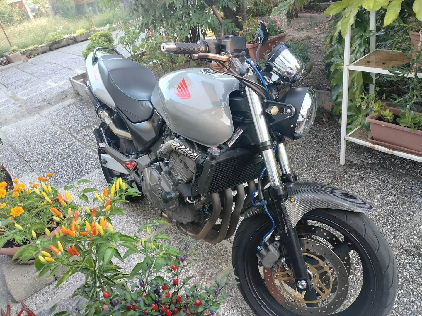 Honda Hornet Grigio - 1