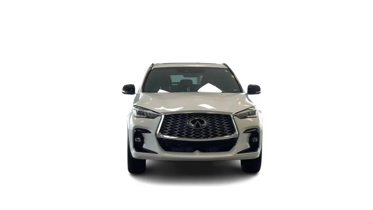 Infiniti QX55 снимка Infiniti QX55