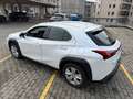 Lexus UX 250h hybrid Executive Business Bianco - thumbnail 6