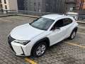 Lexus UX 250h hybrid Executive Business Bianco - thumbnail 5