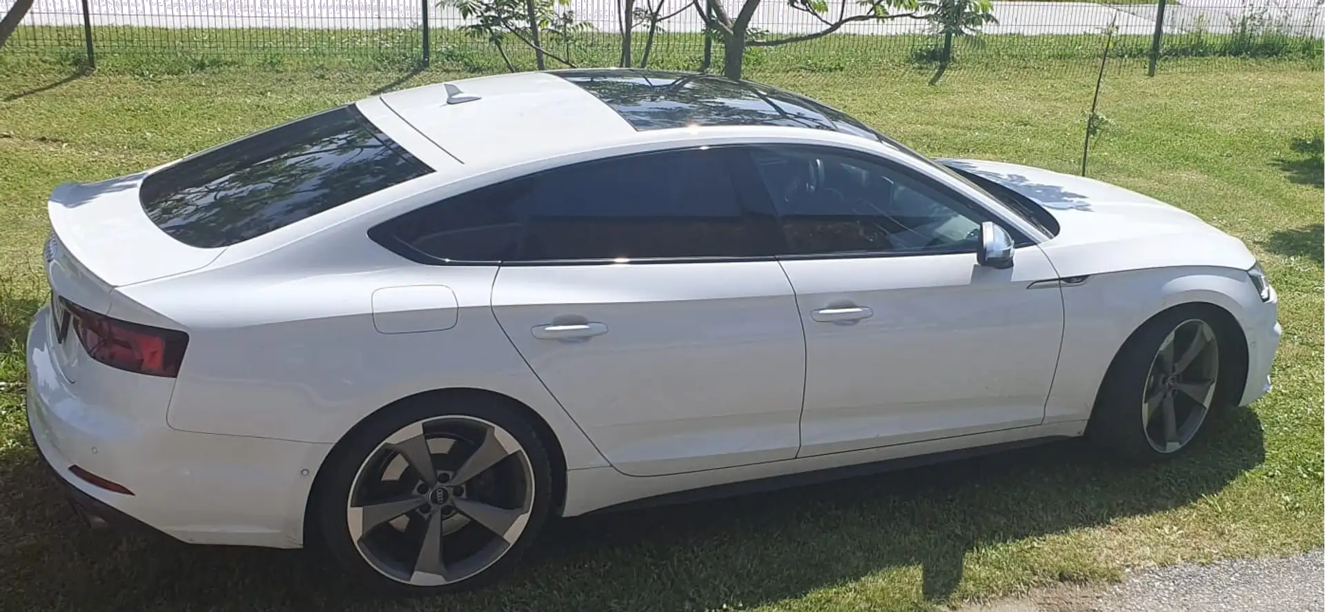 Audi S5 S5 3,0 TFSI quattro Weiß - 2