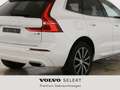 Volvo XC60 Inscription*AWD*WinterPro*Xenium* Weiß - thumbnail 4