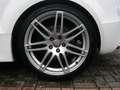 Audi TTS TT II Coupe 2.0 TFSI Quattro 272cv S-Tronic Bianco - thumbnail 6