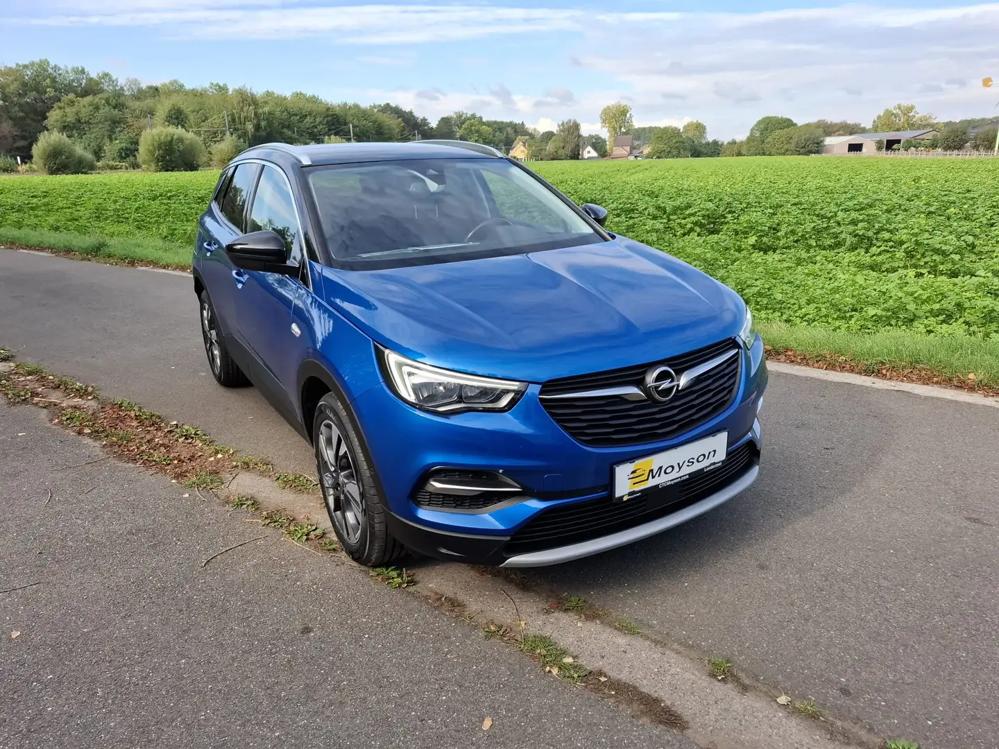 Opel Grandland X GrandlandX 1.2 Innovation Automaat - 1 jr garantie Blauw - 1