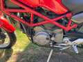 Ducati Monster 1000 S2R Rouge - thumbnail 16