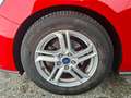 Ford Focus 1,0 EcoBoost Trend Edition Rot - thumbnail 10