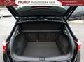 Volkswagen T-Roc R-Line Kam KESSY IQ.Drive SideAssist Nav LED+ AHK Schwarz - thumbnail 15